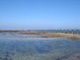  embarcadère ver l'île de Batz